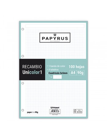 GRAFOPLAS PAPIRUS RECAMBIOS A4 100 HOJAS 90 G CUADRICULA 5X5 MM SIN MARGEN CON 4 TALADROS MINT UNICOLOR - 53392226