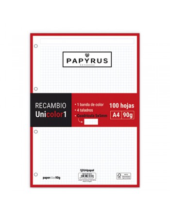 GRAFOPLAS PAPIRUS RECAMBIOS A4 100 HOJAS 90 G CUADRICULA 5X5 MM SIN MARGEN CON 4 TALADROS ROJO UNICOLOR - 53392251