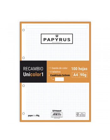 GRAFOPLAS PAPIRUS RECAMBIOS A4 100 HOJAS 90 G CUADRICULA 5X5 MM SIN MARGEN CON 4 TALADROS NARANJA UNICOLOR - 53392252