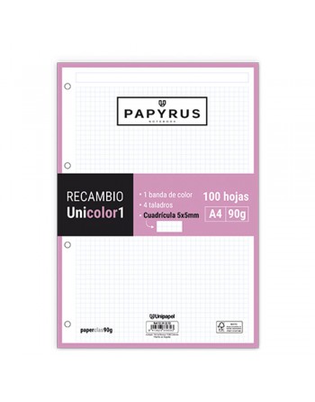 GRAFOPLAS PAPIRUS RECAMBIOS A4 100 HOJAS 90 G CUADRICULA 5X5 MM SIN MARGEN CON 4 TALADROS ROSA UNICOLOR - 53392253