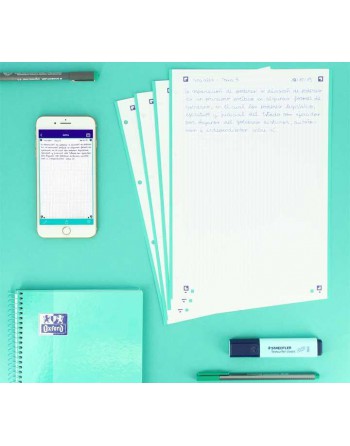 OXFORD RECAMBIO A4 100+20 HOJAS 90GR 4 TALADROS 5X5 COLOR MINT - 400158057