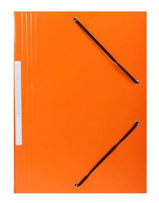 BLUERING CARPETA CARTON SOLAPAS Y GOMAS FORMATO NARANJA JJ409841NDB