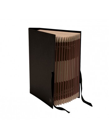 MARIOLA CARPETA CLASIFICADOR ACORDEON 4º NEGRO - 0914NEGRO