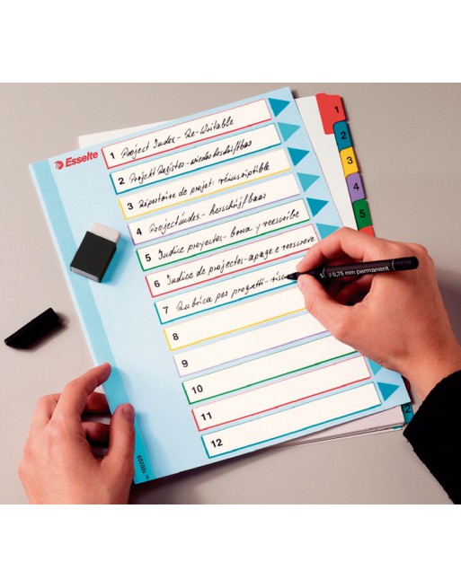 ESSELTE INDICE A4+ BORRA+REESCRIBE 1-12 POSICIONES - 100209