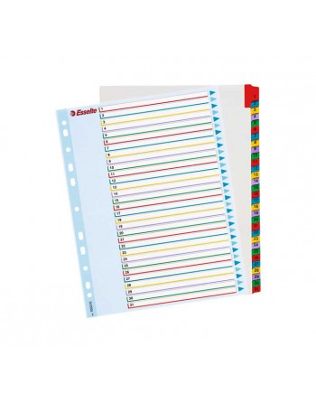 ESSELTE INDICE A4+ BORRA+REESCRIBE 1-31 POSICIONES - 100210