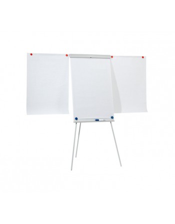 ASERIES PIZARRA CABALLETE EXTENSIBLE MAGNEXICO 105X68 - EL-FC22