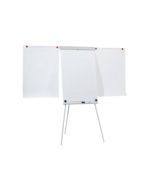 ASERIES PIZARRA CABALLETE EXTENSIBLE MAGNEXICO 105X68 - EL-FC22