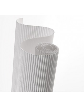 CANSON ROLLO CARTON ONDULADO 0.5X0.7 BLANCO C200992606