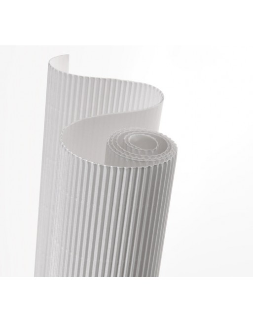CANSON ROLLO CARTON ONDULADO 0.5X0.7 BLANCO C200992606