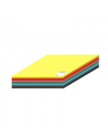 CANSON 120 HOJAS CARTULINAS IRIS 50x65 COLORES VIVOS - C612712003