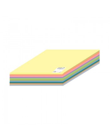 CANSON 120 HOJAS CARTULINAS IRIS 50x65 COLORES PASTEL - C612712004