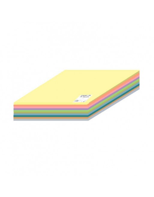 CANSON 120 HOJAS CARTULINAS IRIS 50X65 COLORES PASTEL - C612712004