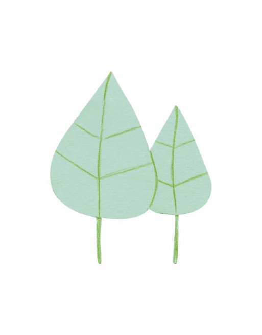 NIEFENVER BLISTER 3 CARTULINA MAGNEXICA 24X15CM VERDE - 1300158