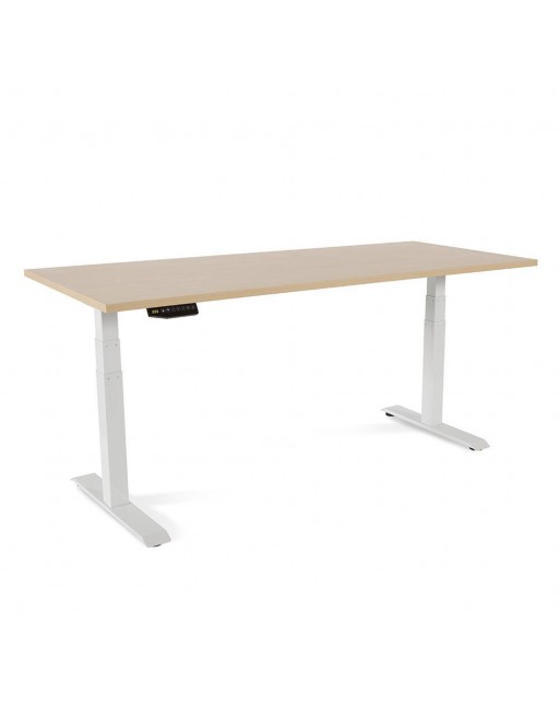 ROCADA MESA ERGONOMICA E-TABLE REGULABLE EN ALTURA 180CM 3 TELESCOPICA HAYA 2003XCR01