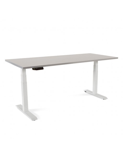 ROCADA MESA ERGONOMICA E-TABLE REGULABLE EN ALTURA 180CM 3 TELESCOPICA GRIS 2003XCR02