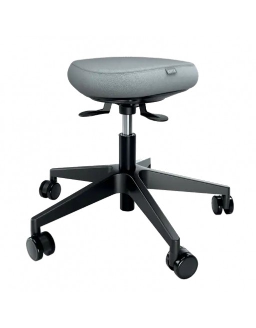 LEITZ TABURETE ERGO ACTIVE CON RUEDAS Y ASIENTO WOOBBLE CONFORT - 65770095