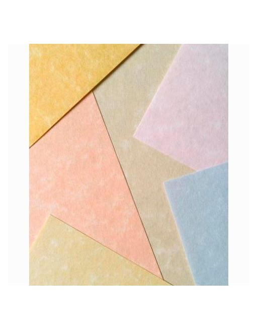 MICHEL PAPEL PARCHMENT 180GR A4 PACK 100U BLANCO 9918229