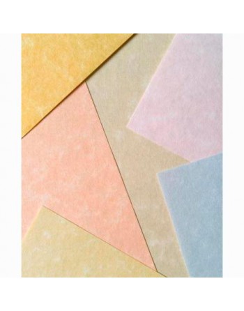 MICHEL PAPEL PARCHMENT 180GR A4 PACK 100U PERGAMINO 9916229