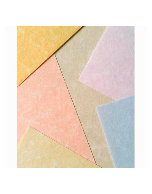 MICHEL PAPEL PARCHMENT 180GR A4 PACK 100U PERGAMINO 9916229