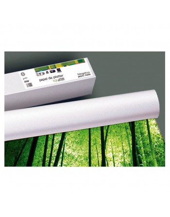 FABRISA ROLLO PLOTTER MATE 100G 1067X40X50MM -16102