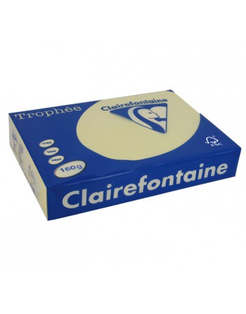 CLAIREFONTAINE PACK 250H PAPEL DE COLOR TROPHEE A4 160G ARENA - 1040C