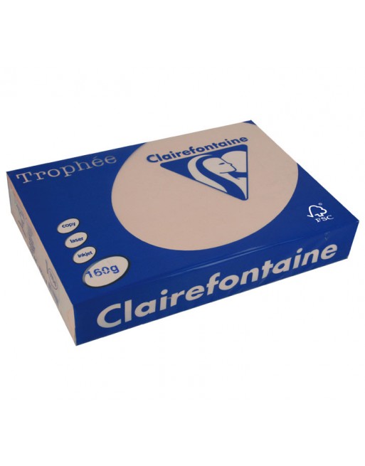 CLAIREFONTAINE PACK 250H PAPEL DE COLOR TROPHEE A4 160G CARNE - 1104C