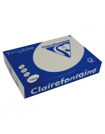 CLAIREFONTAINE PACK 250H PAPEL DE COLOR TROPHEE A4 160G GR PERLA - 1041C