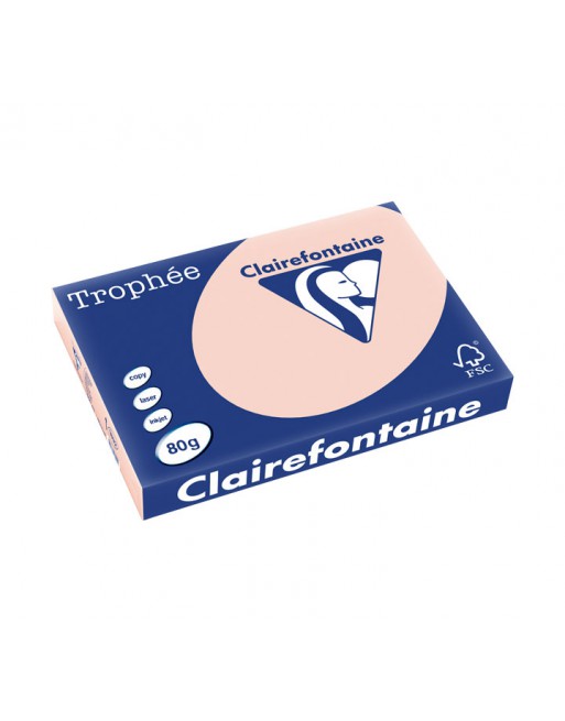 CLAIREFONTAINE PACK 500H PAPEL DE COLOR TROPHEE A3 80G CARNE - 1892C