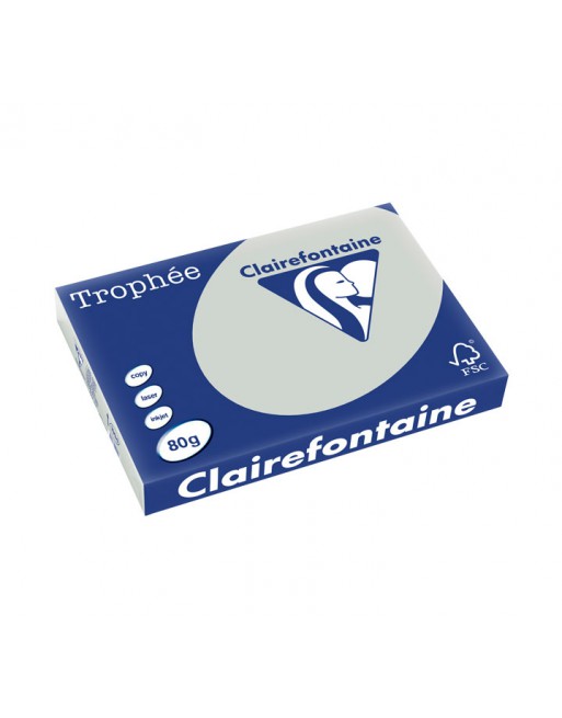 CLAIREFONTAINE PACK 500H PAPEL DE COLOR TROPHEE A3 80G GRIS - 1994C