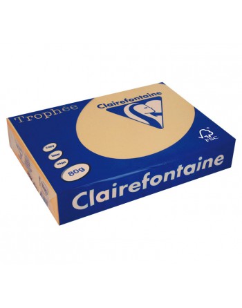 CLAIREFONTAINE PACK 500H PAPEL DE COLOR TROPHEE A4 80G ALBARICOQUE - 1995C