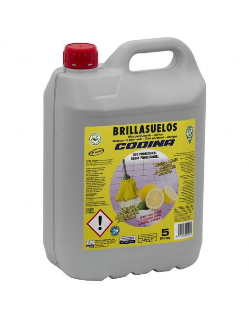 CODINA DETERGENTE LAVAVAJILLAS PARA MAQUINA AGUA DURA 5L CITRICO 1405