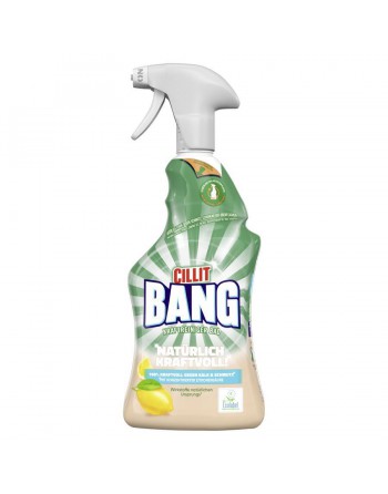 CILLIT BANG SPRAY HIGIENE BA?OS 750ML 3143115