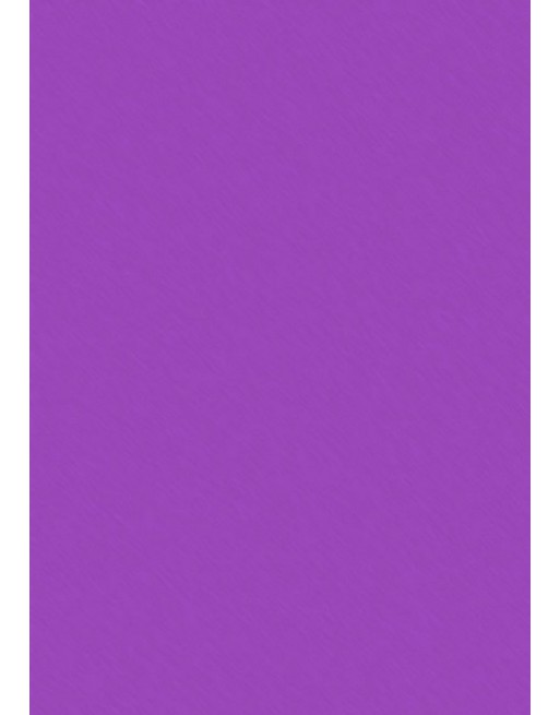A IMC 500 HOJAS DE PAPEL DE SEDA 50X70 COLOR MORADO 84-8045070-1
