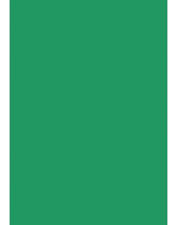 A IMC 500 HOJAS DE PAPEL DE SEDA 50X70 COLOR VERDE 84-8045070-1