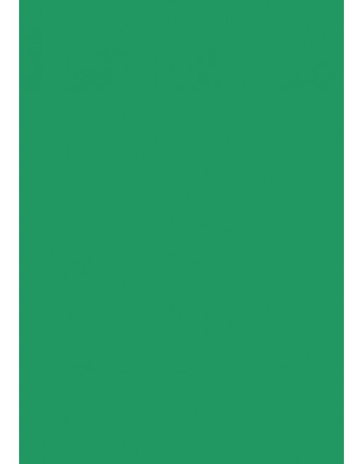 A IMC 500 HOJAS DE PAPEL DE SEDA 50X70 COLOR VERDE 84-8045070-1