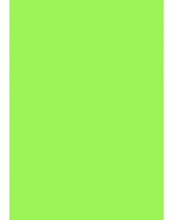 A IMC 500 HOJAS DE PAPEL DE SEDA 50X70 COLOR KIWI 84-8045070-1