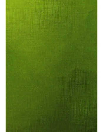 A IMC PAPEL DE REGALO EN BOBINA DE 100 MTS EN CALIDAD GOFRADA LISA VERDE 84-70170100-1
