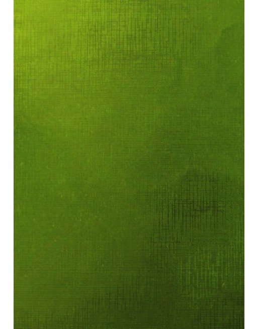 A IMC PAPEL DE REGALO EN BOBINA DE 100 MTS EN CALIDAD GOFRADA LISA VERDE 84-70170100-1