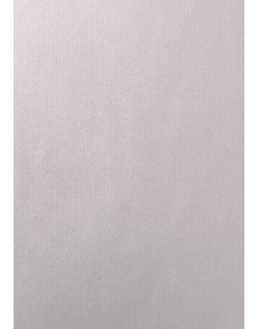 A IMC PAPEL DE REGALO EN BOBINA DE 100 MTS EN CELULOSA MATE COLOR LISO PLATA 84-401100-1