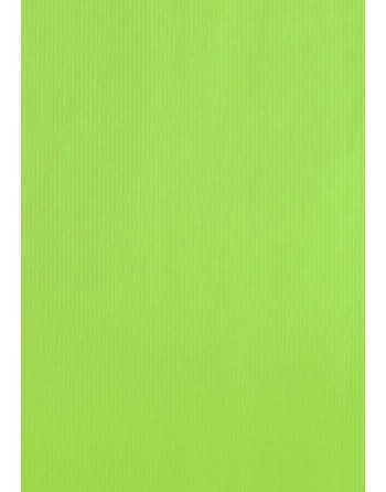 A IMC PAPEL DE REGALO EN BOBINA DE 100 MTS EN CELULOSA MATE COLOR LISO KIWI 84-401100-1