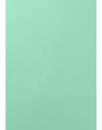 A IMC PAPEL DE REGALO EN BOBINA DE 100 MTS EN CELULOSA MATE COLOR LISO MANZANA 84-401100-1