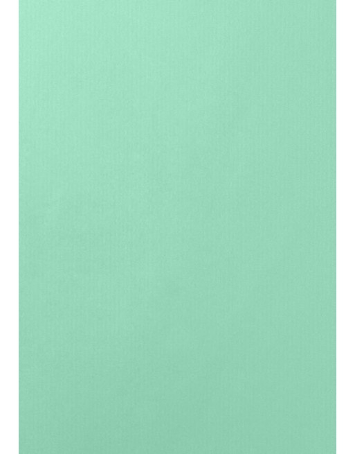 A IMC PAPEL DE REGALO EN BOBINA DE 100 MTS EN CELULOSA MATE COLOR LISO MANZANA 84-401100-1