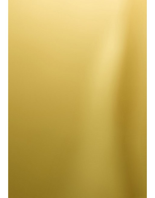 A IMC PAPEL DE REGALO EN BOBINA DE 50 MTS EN CELOFAN METALIZADO LISO COLOR ORO 84-5017050-1