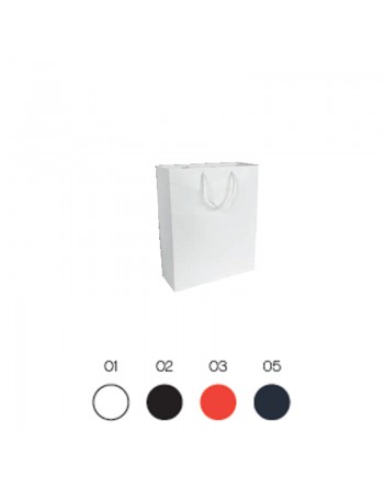 BOLSA DE PAPEL LAMINADO MATE, ASAS Y BASE REFORZADA   22X10X29  CM 17147